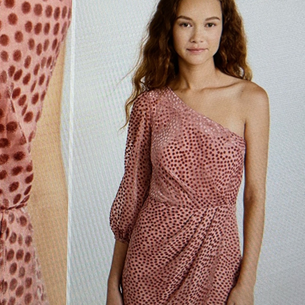 Shoshanna Zadie Dress